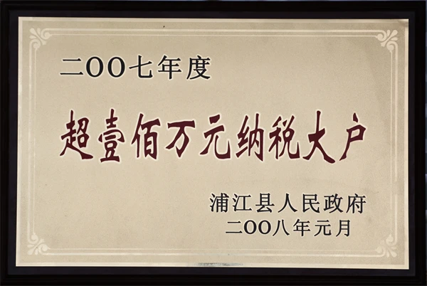 2007 2007